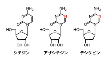 （図4）DNAメチル基転移酵素(DNMT)阻害剤の化学構造