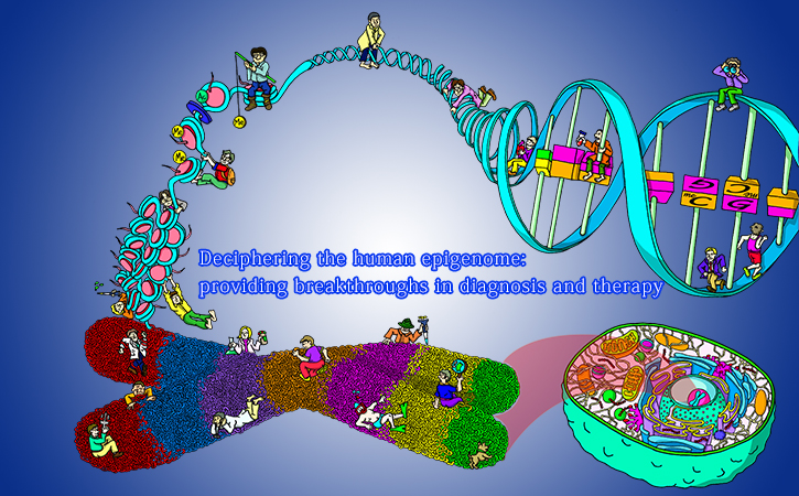 International Human Epigenome Consortium, IHEC, Team Japan (supported by AMED-CREST)